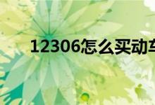 12306怎么买动车票（怎么买动车票）