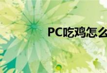 PC吃鸡怎么压枪（pc吃鸡）