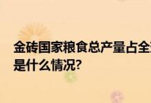 金砖国家粮食总产量占全球约4成农粮供应链日益畅通 具体是什么情况?