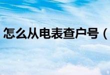 怎么从电表查户号（怎么在电表上查电户号）