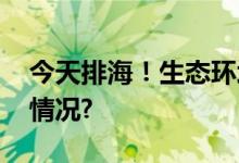 今天排海！生态环境部最新回应 具体是什么情况?