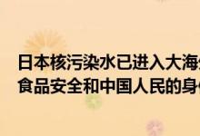 日本核污染水已进入大海外交部：将采取一切必要措施维护食品安全和中国人民的身体健康 具体是什么情况?