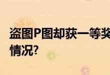 盗图P图却获一等奖？组委会回应 具体是什么情况?