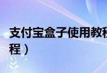 支付宝盒子使用教程下载（支付宝盒子使用教程）