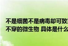 不是细菌不是病毒却可致重症肺炎！当心这个连“外套”都不穿的微生物 具体是什么情况?