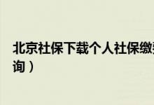 北京社保下载个人社保缴费记录查询（个人社保缴费记录查询）