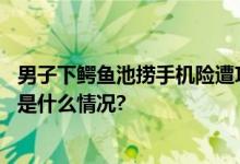 男子下鳄鱼池捞手机险遭攻击动物园回应：系工作人员 具体是什么情况?