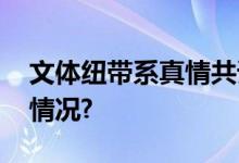 文体纽带系真情共谱和谐幸福篇 具体是什么情况?