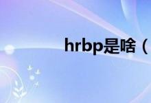 hrbp是啥（hrbp什么意思）