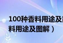 100种香料用途及简介_高清图片（100种香料用途及图解）