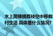 水上爬梯摘荔枝空中移栽罗汉松《山水间的家》邂逅甜美乡村生活 具体是什么情况?