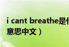 i cant breathe是什么意思（breathe是什么意思中文）