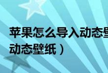 苹果怎么导入动态壁纸没声音（苹果怎么导入动态壁纸）