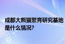 成都大熊猫繁育研究基地：韩某某、梁某某终身禁入！ 具体是什么情况?