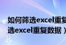 如何筛选excel重复数据两个单元格（如何筛选excel重复数据）