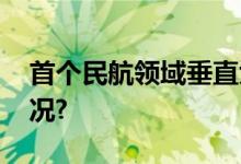 首个民航领域垂直大模型发布 具体是什么情况?