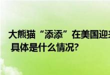 大熊猫“添添”在美国迎来26岁生日将于今年年底按期回国 具体是什么情况?