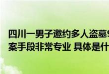 四川一男子邀约多人盗墓9处被抓盗得墓内物品5件民警：作案手段非常专业 具体是什么情况?