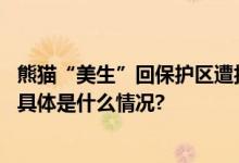 熊猫“美生”回保护区遭拦车？最新：又有两人被终身禁入 具体是什么情况?