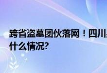 跨省盗墓团伙落网！四川男子邀约多人盗墓9处被抓 具体是什么情况?