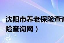 沈阳市养老保险查询网上查询（沈阳市养老保险查询网）