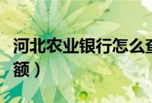 河北农业银行怎么查余额（农业银行怎么查余额）