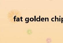 fat golden chips翻译（chips翻译）