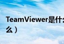 TeamViewer是什么品牌（teamviewer是什么）