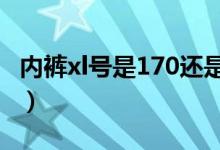 内裤xl号是170还是175（xl号是170还是175）