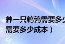 养一只鹌鹑需要多少成本和费用（养一只鹌鹑需要多少成本）