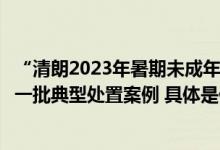 “清朗2023年暑期未成年人网络环境整治”专项行动曝光第一批典型处置案例 具体是什么情况?