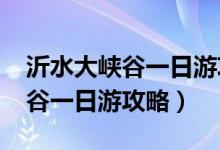 沂水大峡谷一日游攻略门票2023（沂水大峡谷一日游攻略）