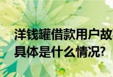 洋钱罐借款用户故事：做孩子们的“英雄” 具体是什么情况?