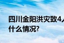 四川金阳洪灾致4人遇难、48人失联 具体是什么情况?
