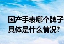 国产手表哪个牌子好？新手必备的选购指南 具体是什么情况?