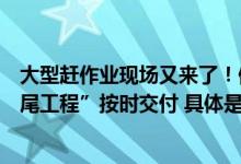 大型赶作业现场又来了！做作业做一夜坐一夜做一页祝“烂尾工程”按时交付 具体是什么情况?