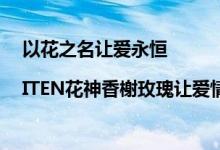 以花之名让爱永恒 |ITEN花神香榭玫瑰让爱情在心中绽放 具体是什么情况?