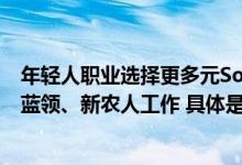 年轻人职业选择更多元Soul调研显示：超3成00后认可高级蓝领、新农人工作 具体是什么情况?