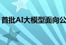 首批AI大模型面向公众开放 具体是什么情况?