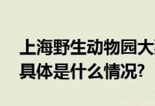 上海野生动物园大猩猩“越狱”？回应来了 具体是什么情况?