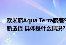 欧米茄Aqua Terra腕表Summer Blue款 最强通勤表的全新选择 具体是什么情况?