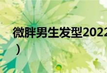 微胖男生发型2022最新图片（微胖男生发型）