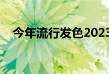 今年流行发色2023图片（今年流行发色）