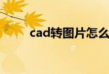 cad转图片怎么高清（cad转图片）