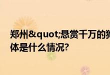 郑州"悬赏千万的狗"已找到主人给了5000 具体是什么情况?