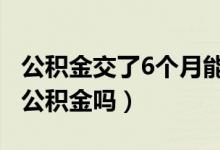 公积金交了6个月能贷30万吗（个人能交住房公积金吗）