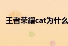 王者荣耀cat为什么打辅助（王者荣耀cat）