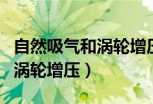 自然吸气和涡轮增压哪个寿命长（自然吸气和涡轮增压）