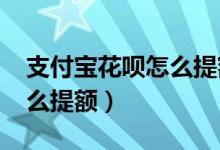 支付宝花呗怎么提额到1000（支付宝花呗怎么提额）