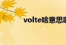 volte啥意思啊（volte啥意思）